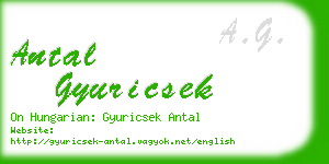 antal gyuricsek business card